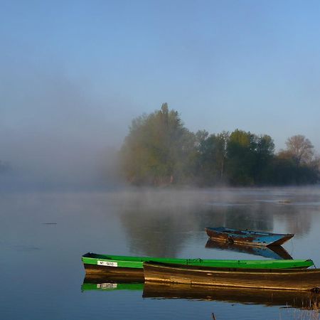Escale De Loire Bed & Breakfast Chouze-sur-Loire Ngoại thất bức ảnh