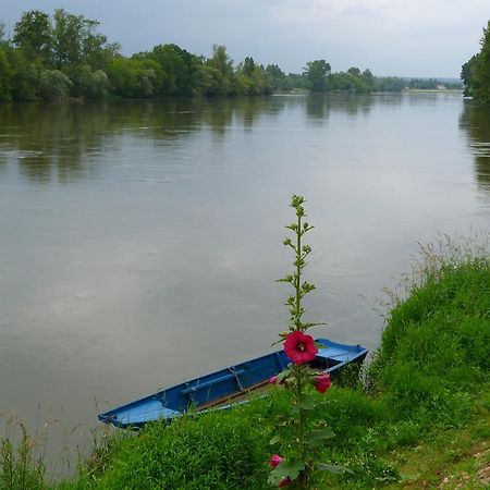 Escale De Loire Bed & Breakfast Chouze-sur-Loire Ngoại thất bức ảnh
