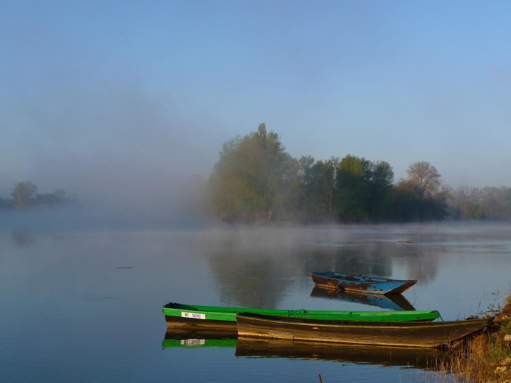 Escale De Loire Bed & Breakfast Chouze-sur-Loire Ngoại thất bức ảnh
