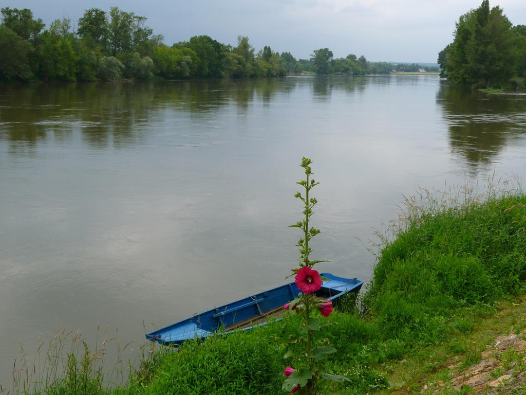 Escale De Loire Bed & Breakfast Chouze-sur-Loire Ngoại thất bức ảnh
