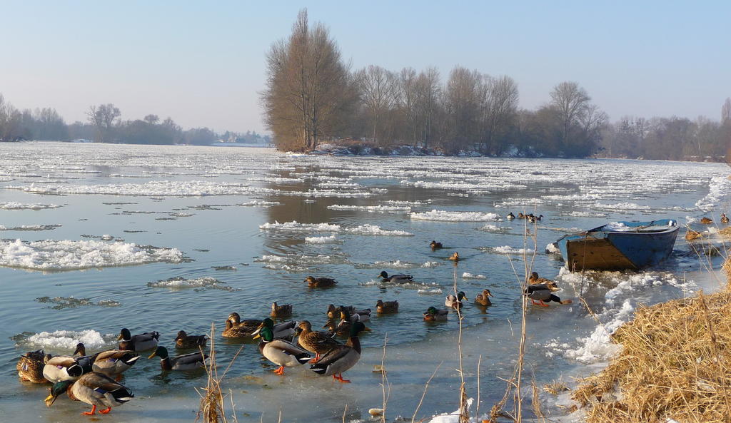 Escale De Loire Bed & Breakfast Chouze-sur-Loire Ngoại thất bức ảnh
