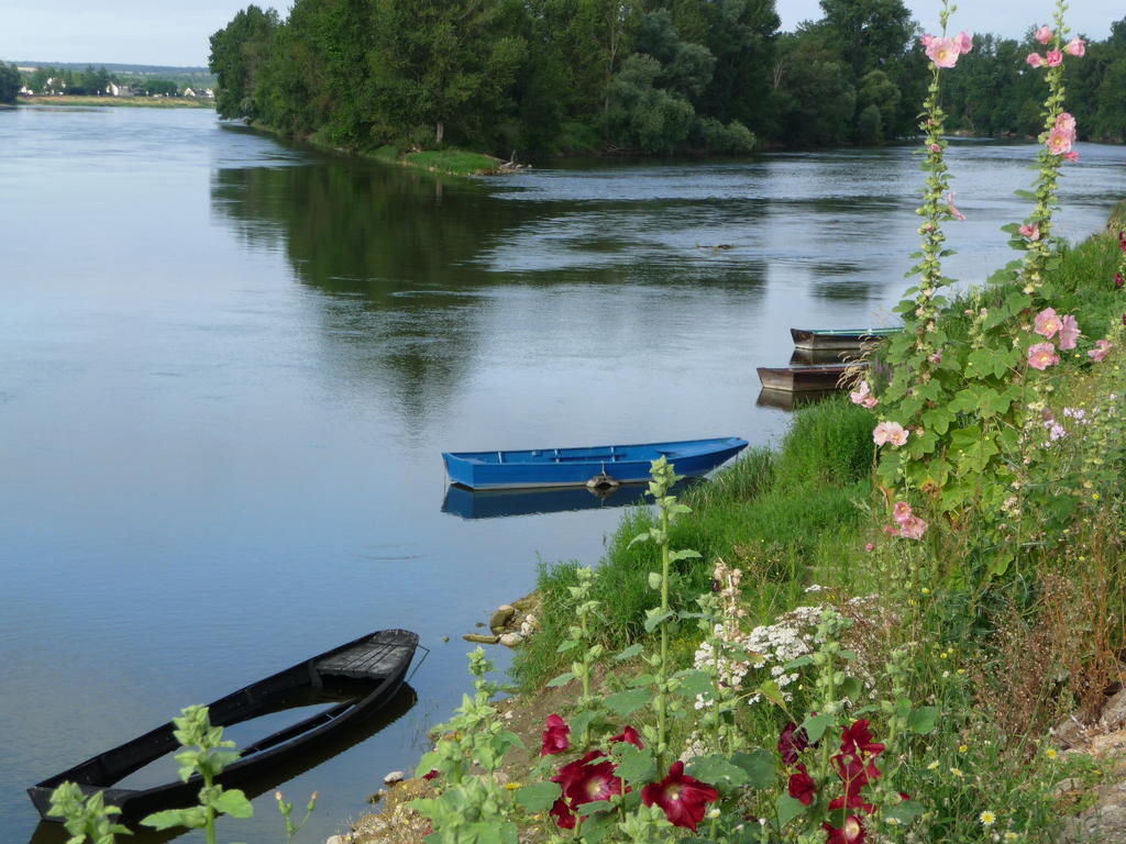 Escale De Loire Bed & Breakfast Chouze-sur-Loire Ngoại thất bức ảnh